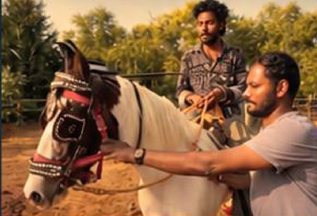 A horse being led by its handler during a horse riding session near Auroville.